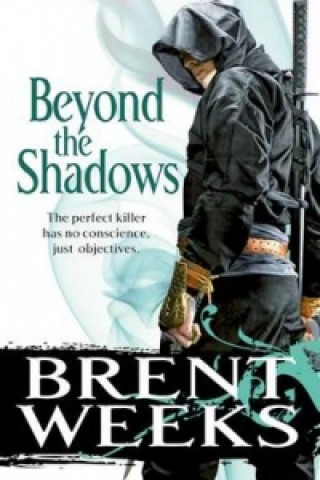 Könyv Beyond The Shadows Brent Weeks