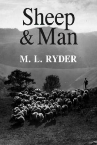 Книга Sheep and Man Michael L Ryder