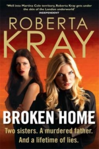 Kniha Broken Home Roberta Kray