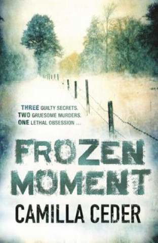 Kniha Frozen Moment Camilla Ceder