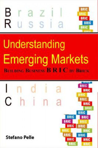 Knjiga Understanding Emerging Markets Stefano Pelle