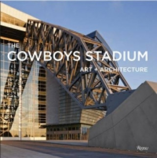 Buch Cowboys Stadium David Dillon