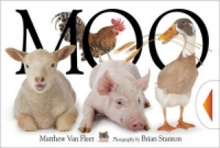 Book Moo! Matthew VanFleet