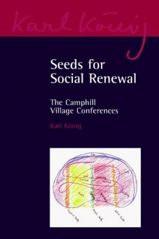 Kniha Seeds for Social Renewal Karl Konig