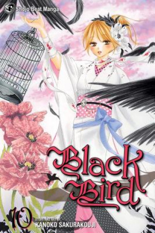 Kniha Black Bird, Vol. 10 Kanoko Sakurakoji