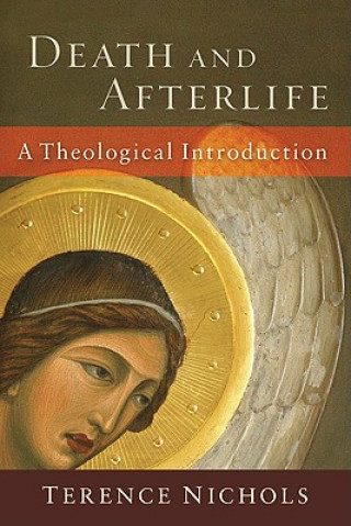 Książka Death and Afterlife - A Theological Introduction Terence L Nichols