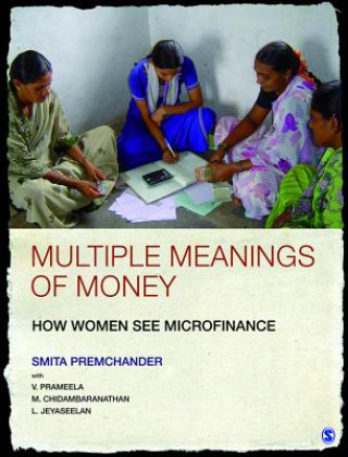 Kniha Multiple Meanings of Money Smita Premchander