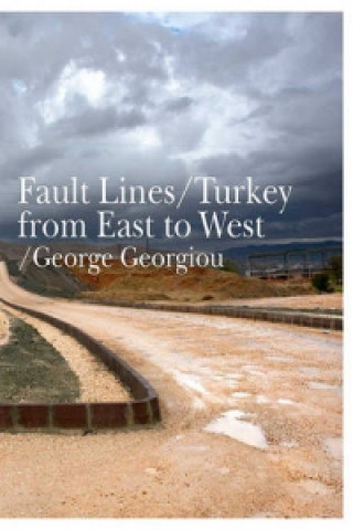 Book Fault Lines George Georgiou