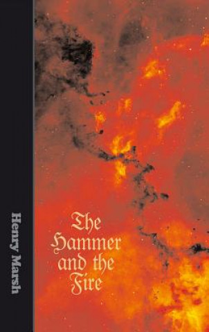 Könyv Hammer and The Fire Henry Marsh