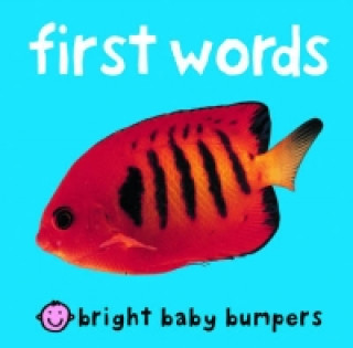 Knjiga First Words Roger Priddy