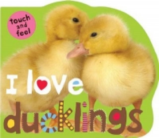Kniha I Love Ducklings Roger Priddy