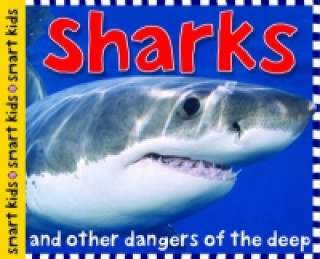 Książka Sharks Roger Priddy
