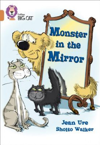 Carte Monster in the Mirror Jean Ure