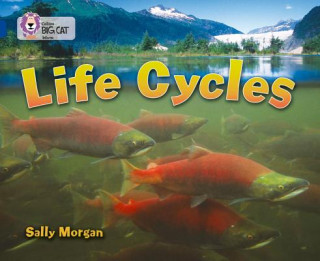Carte Life Cycles Sally Morgan