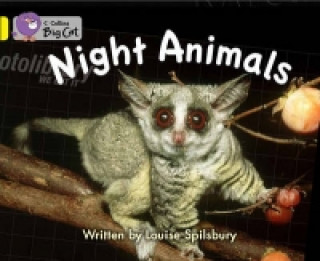 Könyv Night Animals Louise Spilsbury