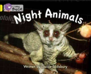 Książka Night Animals Louise Spilsbury