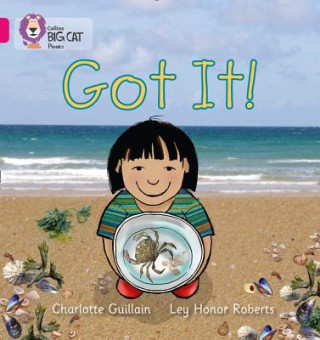 Buch Got It! Charlotte Guillain