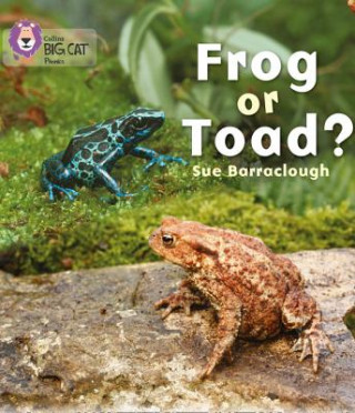 Könyv Frog or Toad? Sue Barraclough