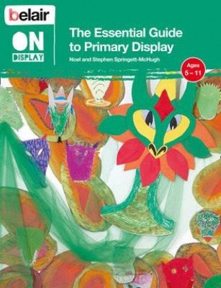 Book Essential Guide to Primary Display Noel McHugh