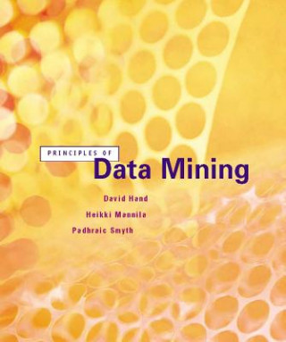 Könyv Principles of Data Mining David J Hand