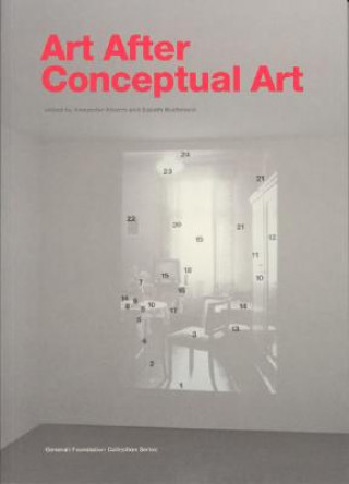 Kniha Art After Conceptual Art Alberro