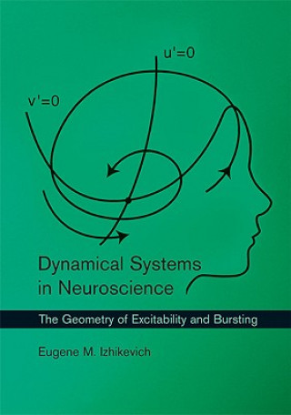 Book Dynamical Systems in Neuroscience Izhikevich