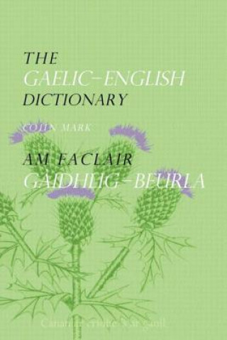 Kniha Gaelic-English Dictionary Colin B.D. Mark