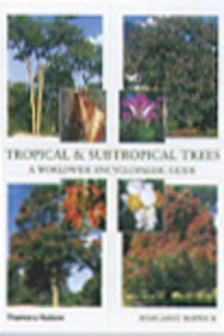 Книга Tropical & Subtropical Trees Margaret Barwick