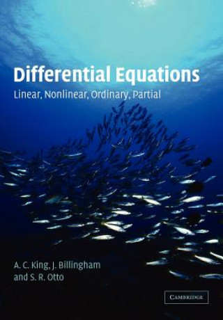 Książka Differential Equations A C King