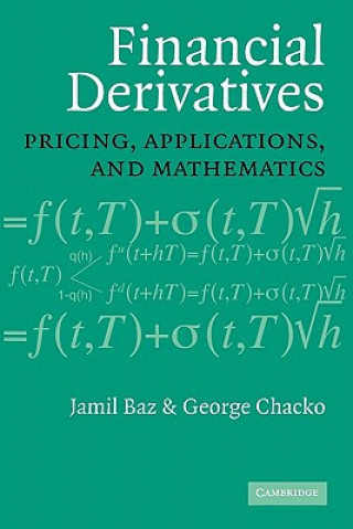 Kniha Financial Derivatives Jamil Baz