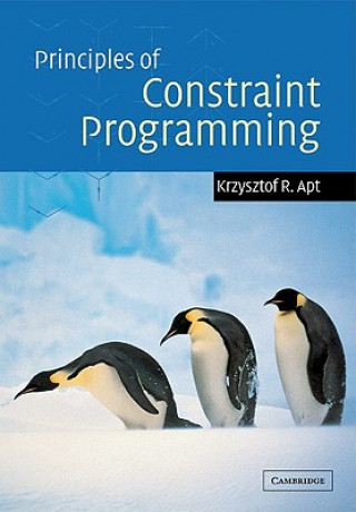 Könyv Principles of Constraint Programming Krzysztof R. Apt