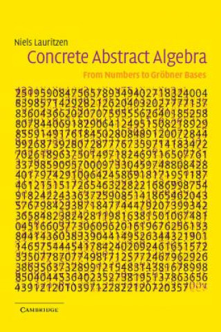 Kniha Concrete Abstract Algebra Niels Lauritzen