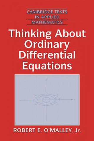 Knjiga Thinking about Ordinary Differential Equations O'Malley