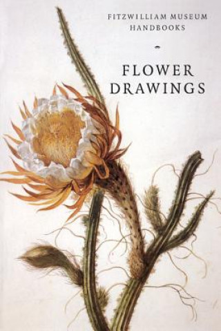 Carte Flower Drawings David Scrase