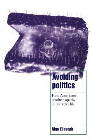 Book Avoiding Politics Nina Eliasoph