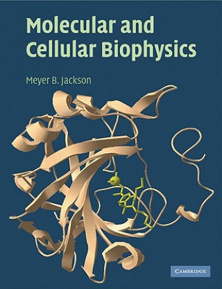Könyv Molecular and Cellular Biophysics Meyer B Jackson