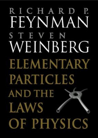 Könyv Elementary Particles and the Laws of Physics Richard P Feynman