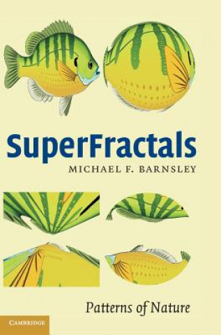 Könyv SuperFractals Michael Fielding Barnsley