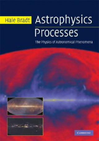 Könyv Astrophysics Processes Hale Bradt