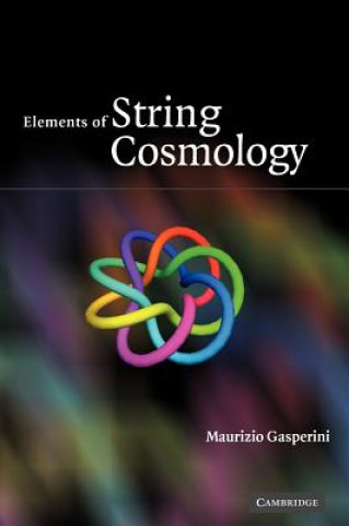 Kniha Elements of String Cosmology Maurizio Gasperini
