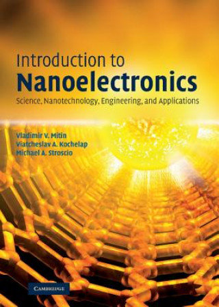 Kniha Introduction to Nanoelectronics Mitin