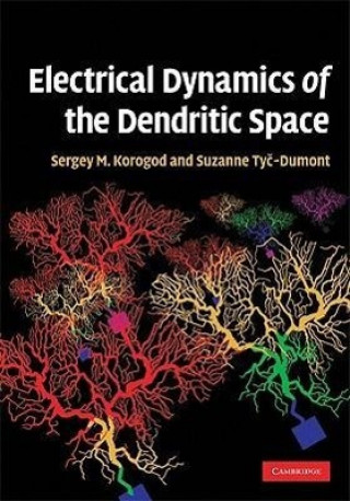 Könyv Electrical Dynamics of the Dendritic Space Sergiy Mikhailovich Korogod