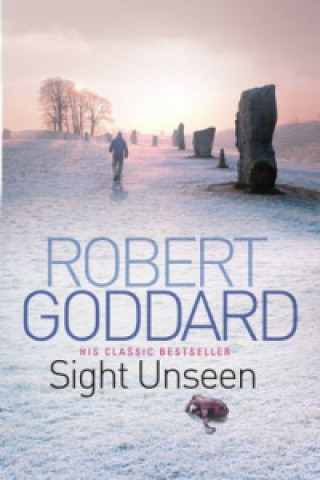Kniha Sight Unseen Robert Goddard