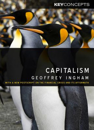 Kniha Capitalism Geoffrey Ingham