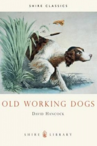 Könyv Old Working Dogs David Hancock