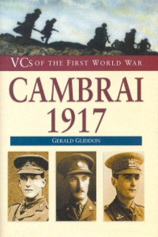 Kniha Cambrai 1917 Gerald Gliddon