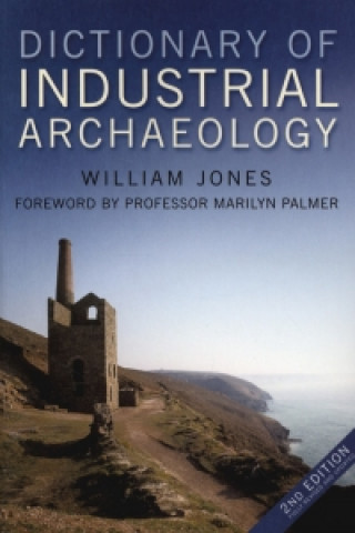 Книга Dictionary of Industrial Archaeology Bill Jones