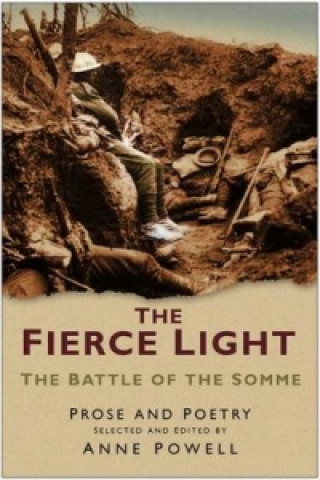 Buch Fierce Light Anne Powell