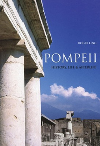 Kniha Pompeii Roger Ling