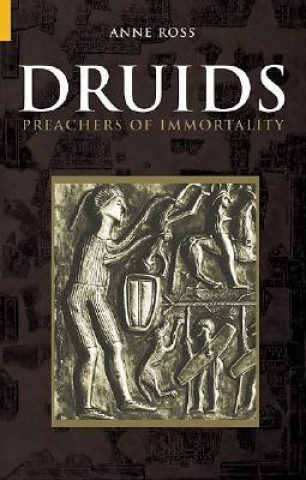 Kniha Druids Anne Ross